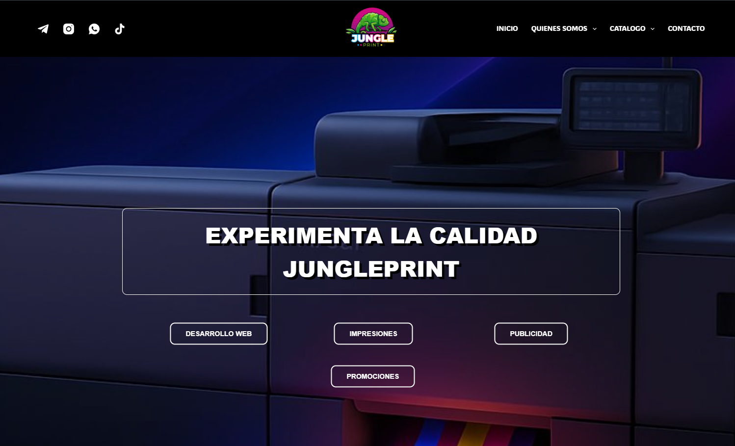 Sitio Web pro